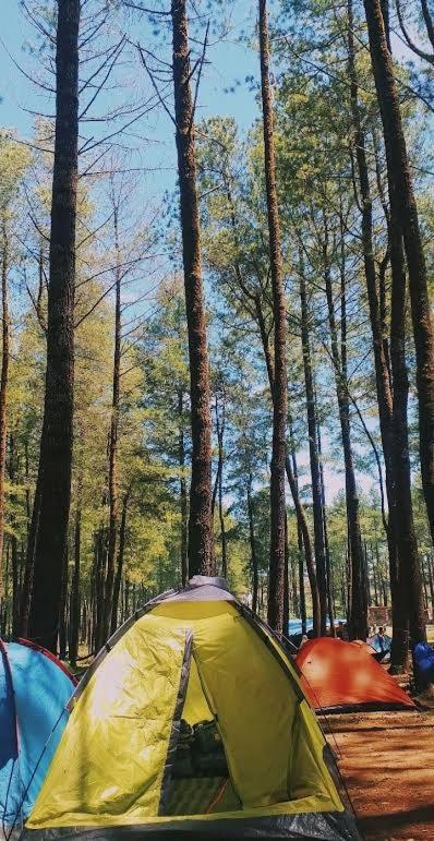 Tapian Ratu Camp Real Bukittinggi Εξωτερικό φωτογραφία
